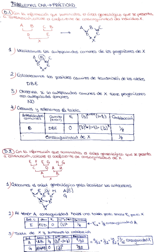 Miniatura del documento prácticas D