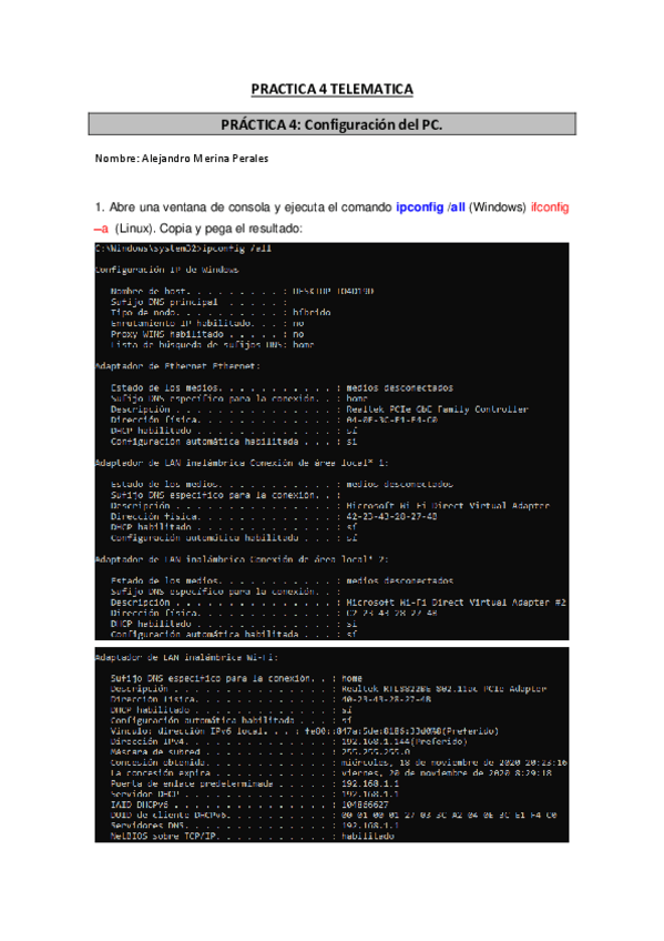 Miniatura del documento PR4REDESonlineAlejandroMerinaPerales.pdf