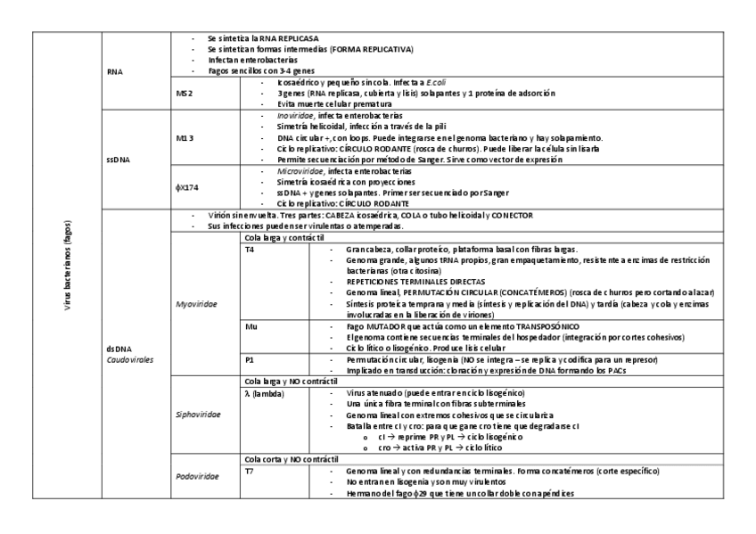 Miniatura del documento VIRUS.pdf