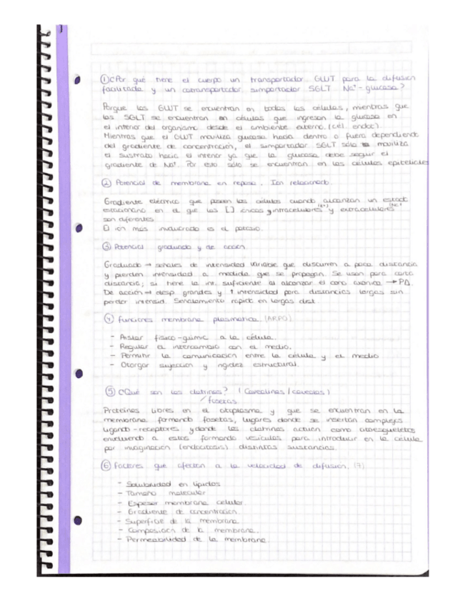 Miniatura del documento Preguntas-Fisio-Animal-1er-Cuatri-2020-2021.pdf