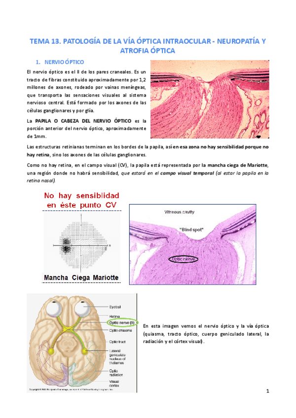Miniatura del documento Tema-13.pdf