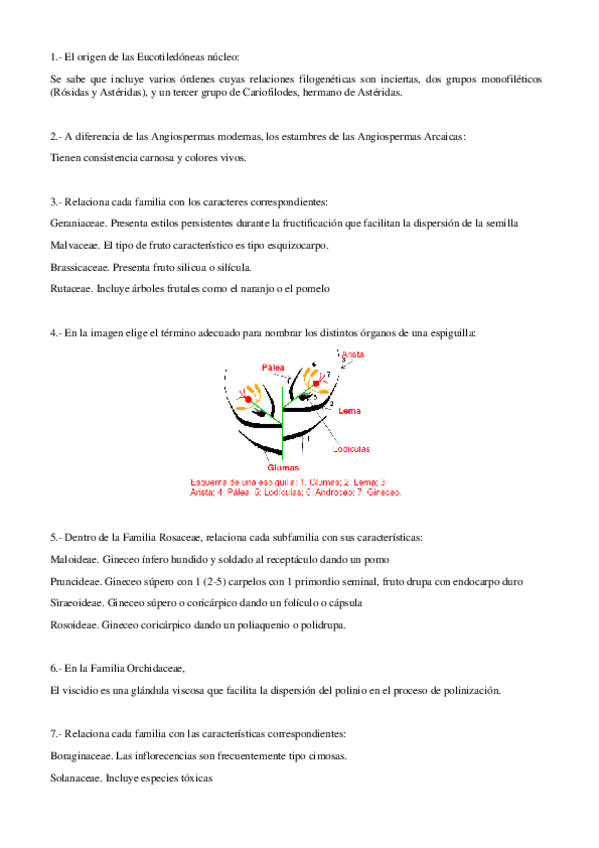 Miniatura del documento Preguntas-Examen-Botanica-T-4-7.pdf