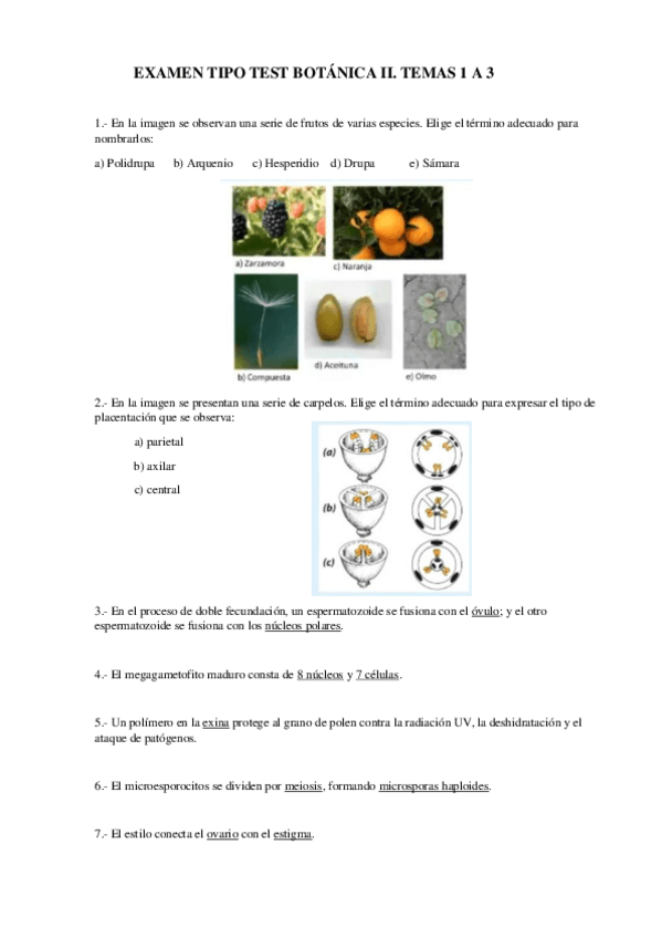 Miniatura del documento Preguntas-Examen-Test-tema-1-3.pdf