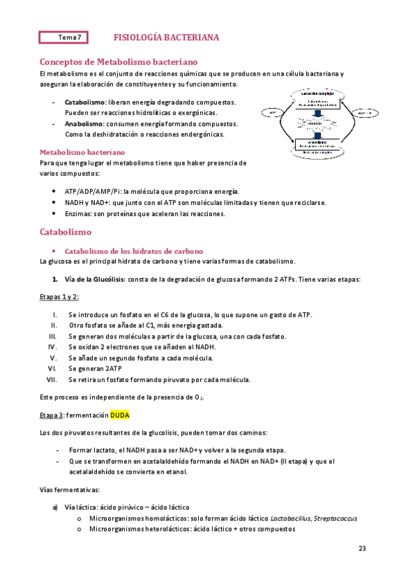 Miniatura del documento TEMA-7.pdf