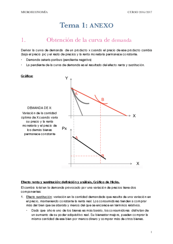 Miniatura del documento MICRO TEMA 1*.pdf