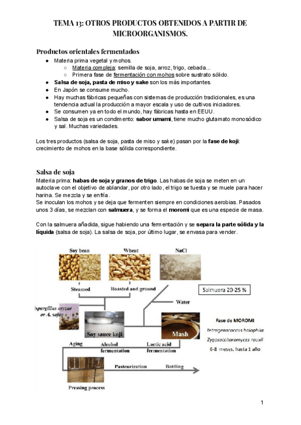 Miniatura del documento TEMA-13-OTROS-PRODUCTOS-OBTENIDOS-A-PARTIR-DE-MICROORGANISMOS.pdf