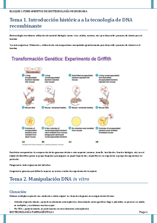 Miniatura del documento BLOQUE I.pdf