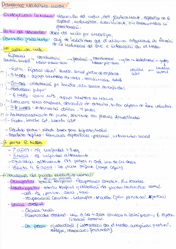 Miniatura del documento Desarrollo-neuropsicomotor.pdf