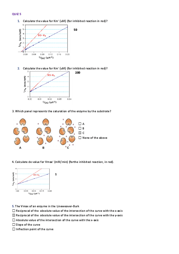 Miniatura del documento QUIZ-5-enzimas.pdf