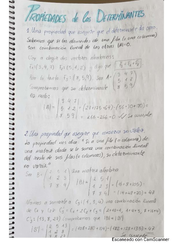 Miniatura del documento tarea-DeterminantesAlgebra.pdf
