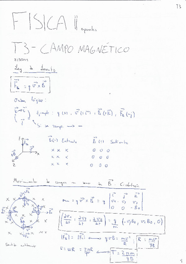 Miniatura del documento FISICA-II-T3-Campo-magnetico.pdf