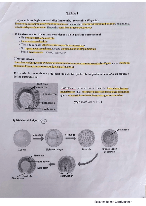 Miniatura del documento Preguntas-y-apuntes-zoologia.pdf