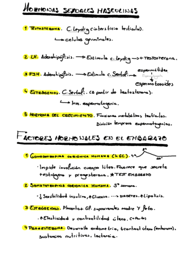Miniatura del documento Resumenes.pdf
