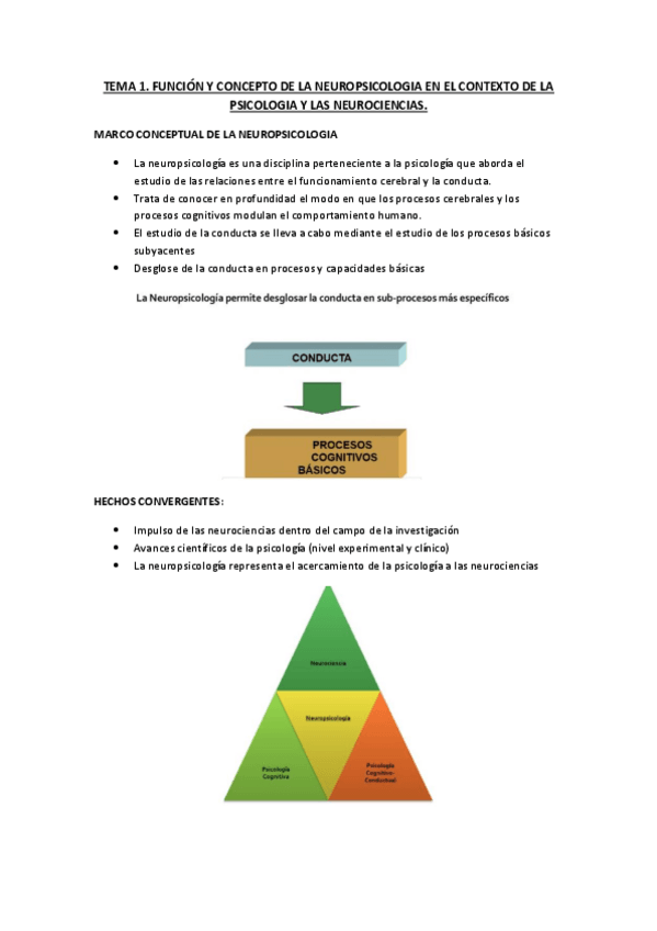 Miniatura del documento NEUROPSICOLOGIA-2020-2021.pdf