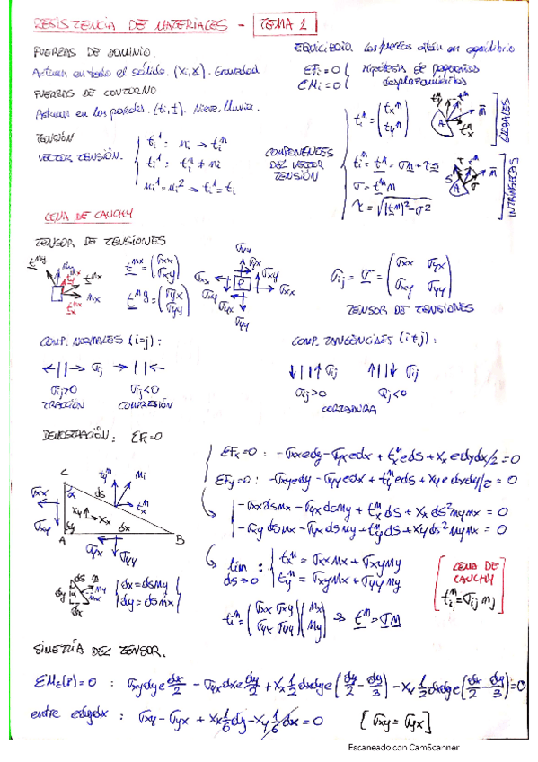 Miniatura del documento RdMResumenFormulario.pdf