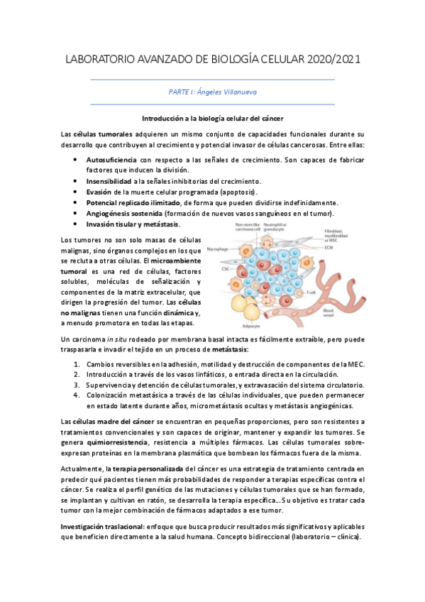 Miniatura del documento APUNTES-LABORATORIO-BIOLOGIA-CELULAR.pdf
