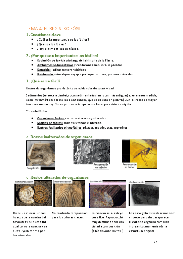 Miniatura del documento TEMA 4.pdf