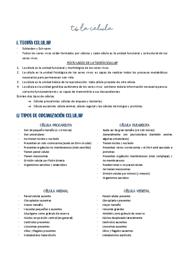 Miniatura del documento 6.pdf