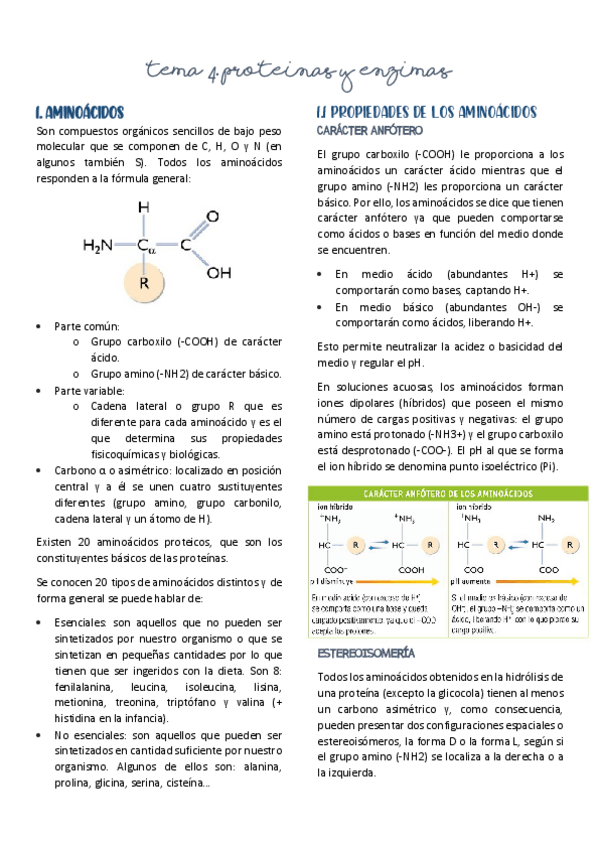 Miniatura del documento 4.pdf