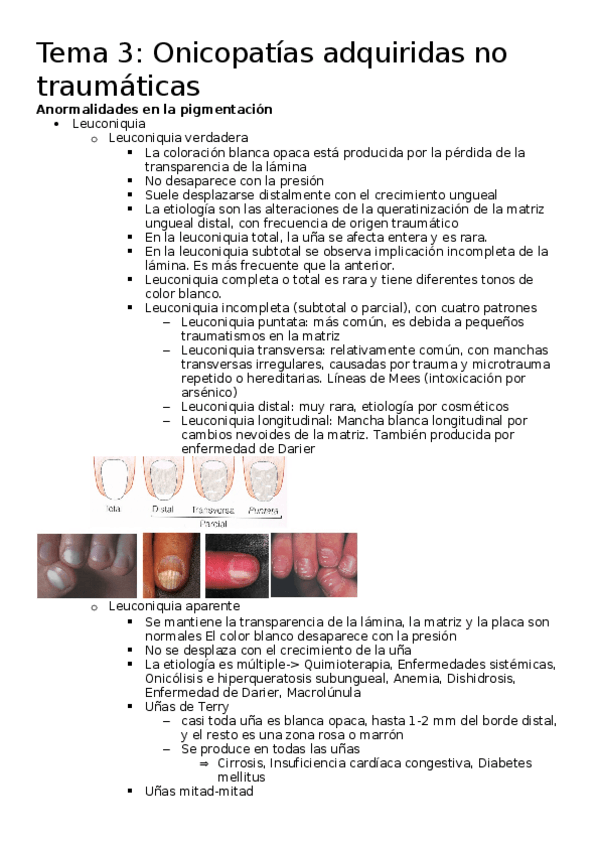 Miniatura del documento Tema-3.docx