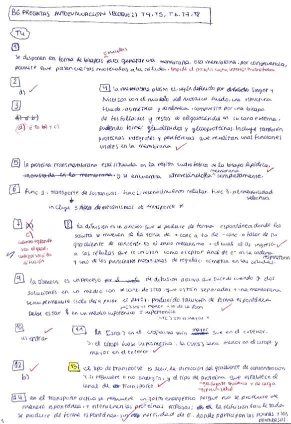 Miniatura del documento BG-preguntas-autoevaluacion-Temas-4-9.pdf