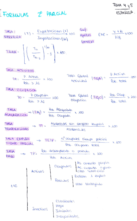 Miniatura del documento formulas-tema-4-y-5-espanola.pdf