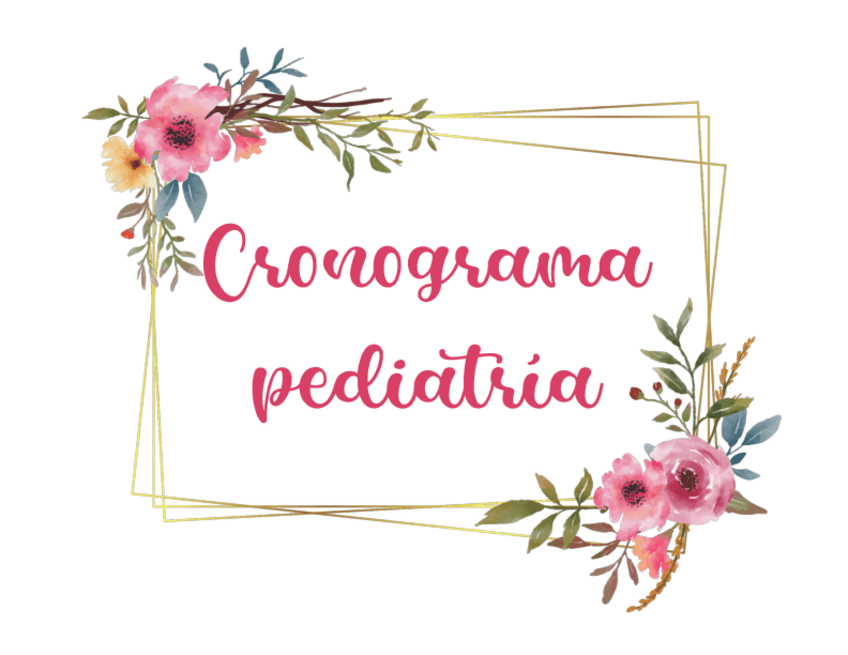 Miniatura del documento Cronograma-.pdf