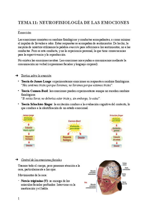 Miniatura del documento TEMA-11-NEUROFISIOLOGIA-DE-LAS-EMOCIONES.pdf