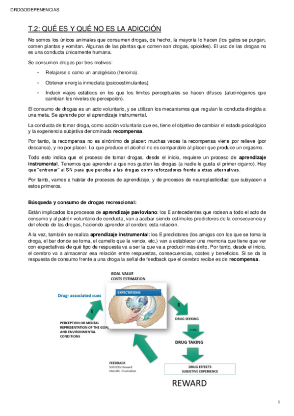 Miniatura del documento T2-drogo.pdf