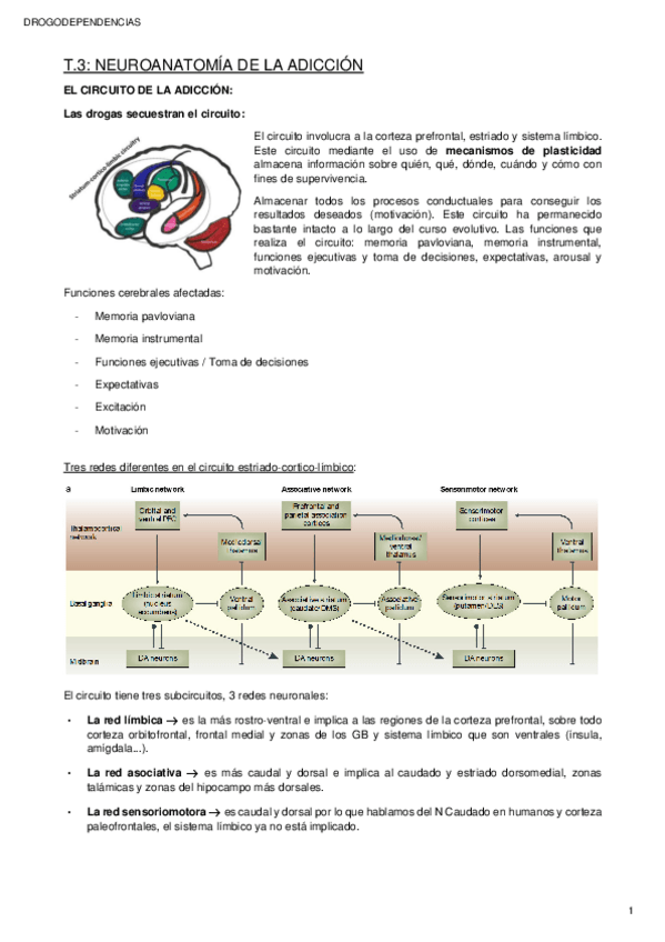 Miniatura del documento t3-drogo.pdf
