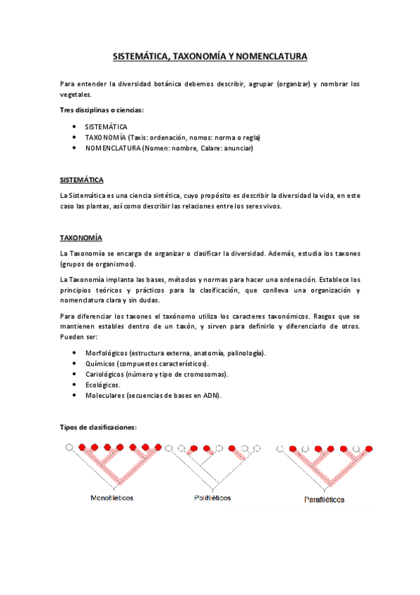 Miniatura del documento E.pdf