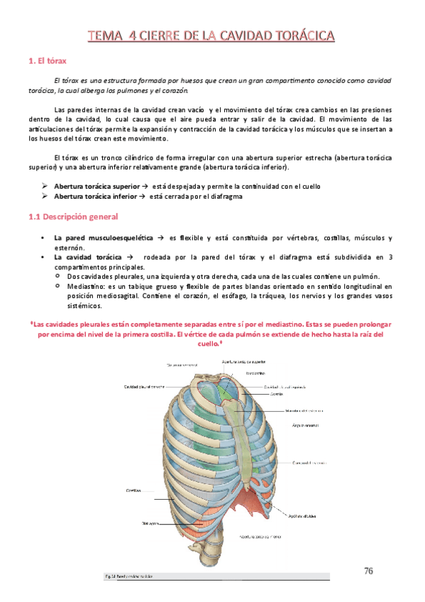 Miniatura del documento Tema-4.pdf