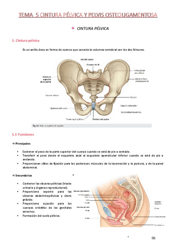 Miniatura del documento Tema-5.pdf