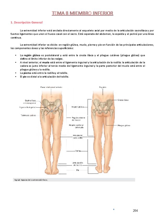 Miniatura del documento Tema-8.pdf