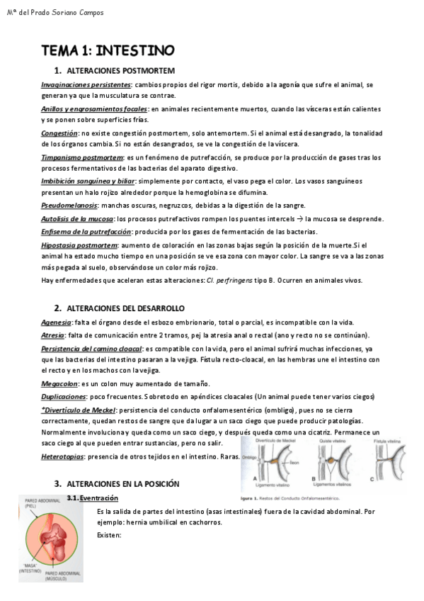 Miniatura del documento APS-Luis-2020.pdf