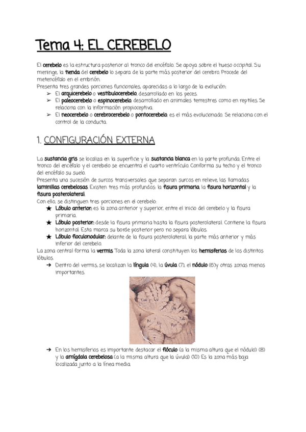 Miniatura del documento Tema-4.pdf