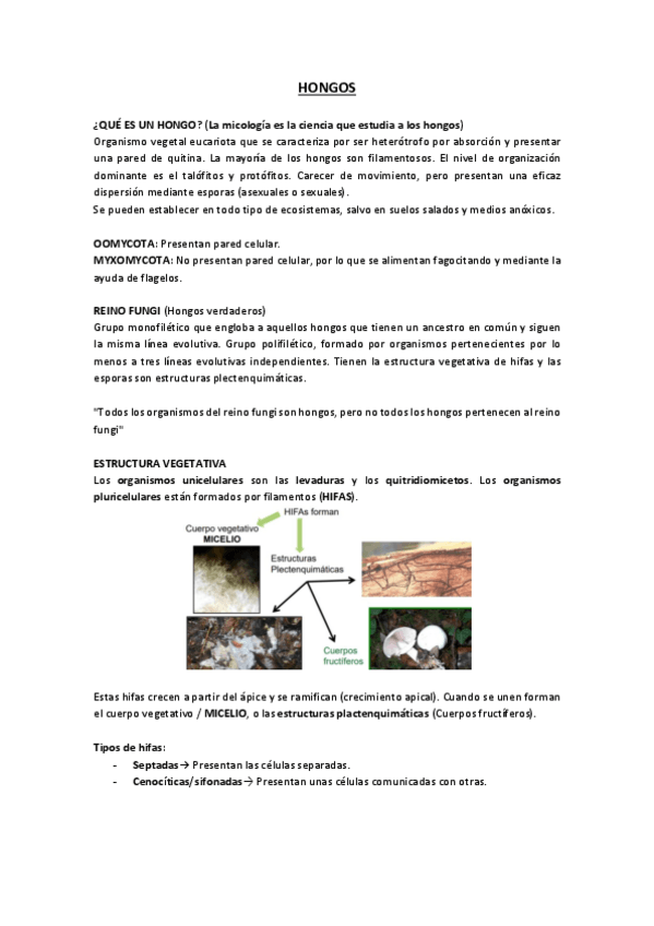 Miniatura del documento E.pdf