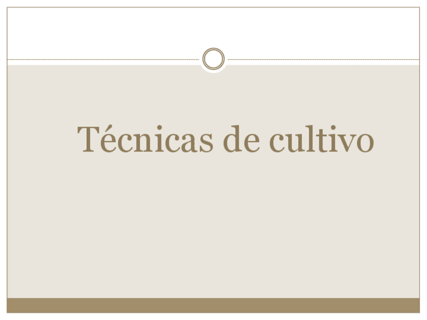 Miniatura del documento Tecnicas-remolacha-2021.pdf