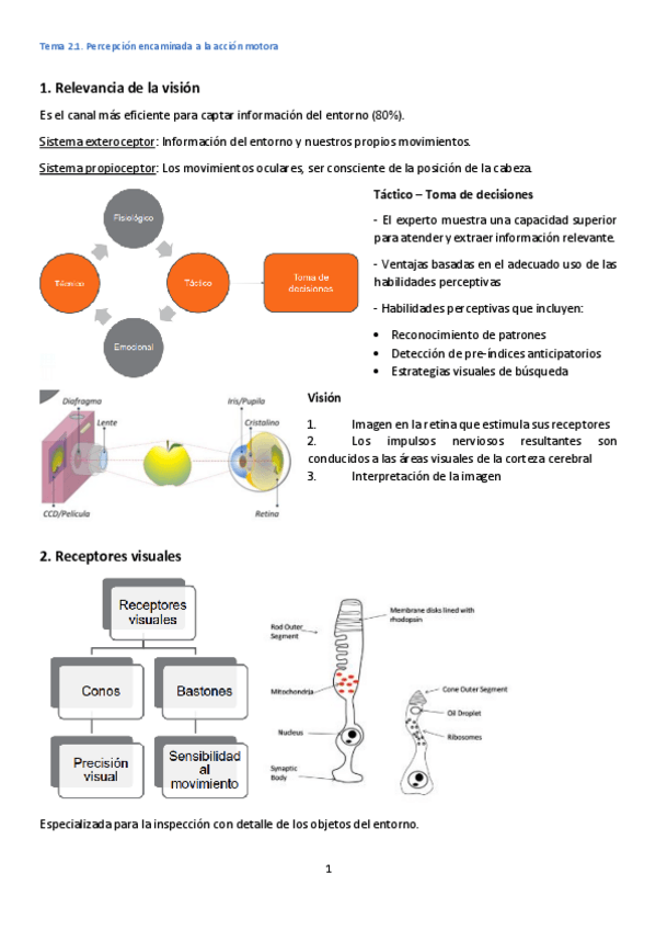 Miniatura del documento Tema-2.pdf