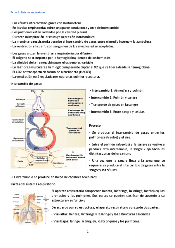 Miniatura del documento 1.pdf