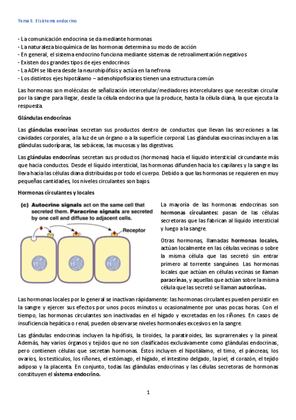 Miniatura del documento Tema-5.pdf