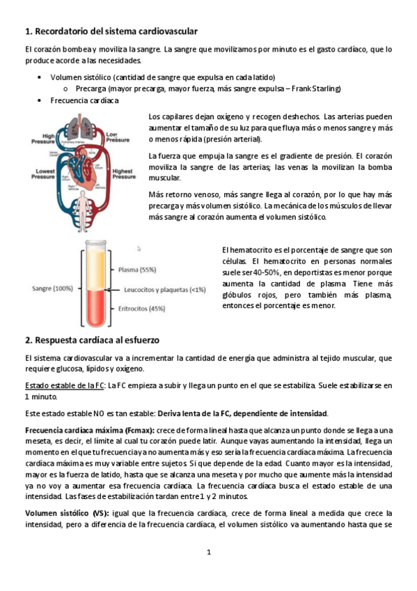 Miniatura del documento Tema-3.pdf