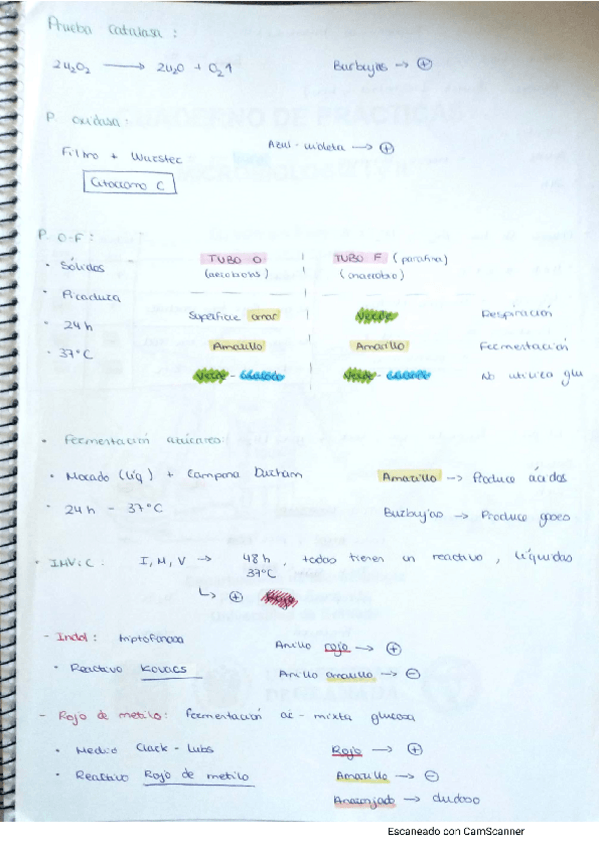 Miniatura del documento Resumen-practicas-micro-II.pdf