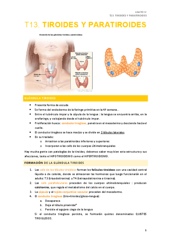 Miniatura del documento T13.pdf