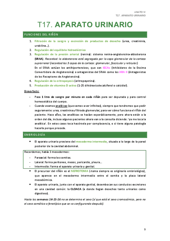 Miniatura del documento T17.pdf