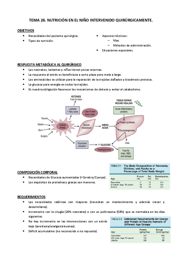 Miniatura del documento Tema 26.pdf