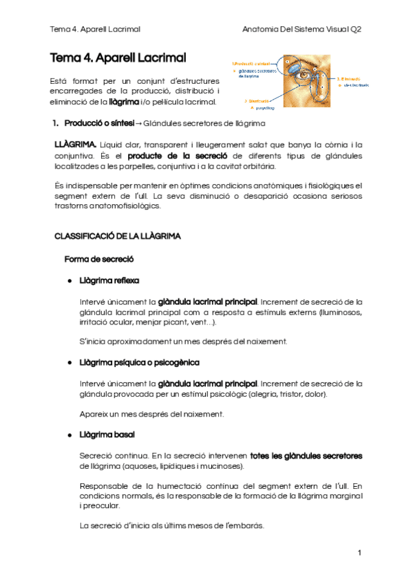 Miniatura del documento Tema-4.pdf