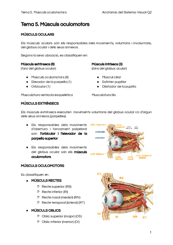 Miniatura del documento Tema-5.pdf