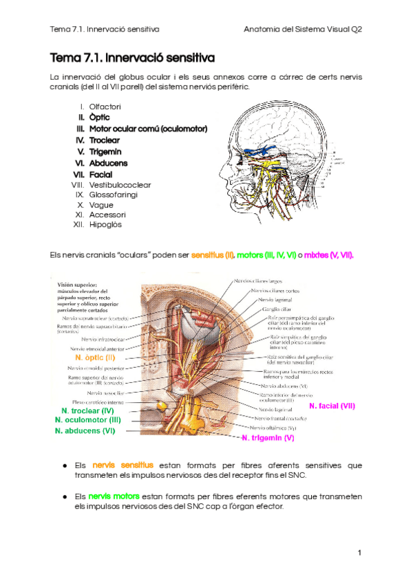 Miniatura del documento Tema-7.pdf