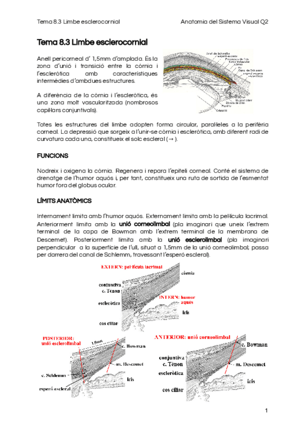 Miniatura del documento Tema-8.pdf